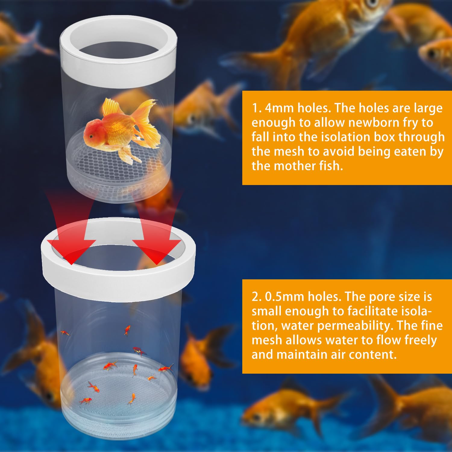 BOXOB Small Breeder Box for Fish Tank Fish Tank Hatchery Fry Hatching Incubator Breeding Box Floating Separator Aquarium Isolation Hatchery for Baby Fishes Brine Shrimp Guppy - Image 4