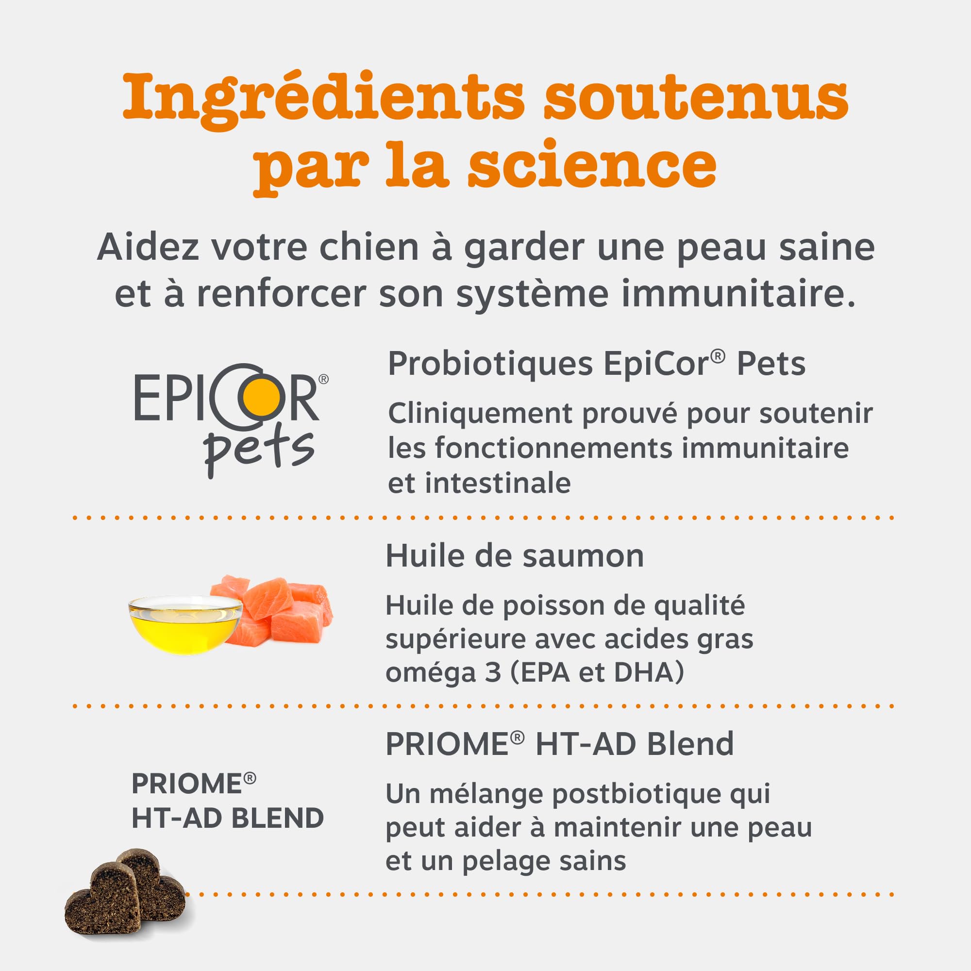 Zesty Paws Bouchées Anti-Démangeaisons pour Chien | Apaise Peau, Pattes & Oreilles Irritées | Soutient Immunité, Digestion et Peau | Avec Huile de Saumon & Probiotiques | Usage Quotidien | 90 Bouchées