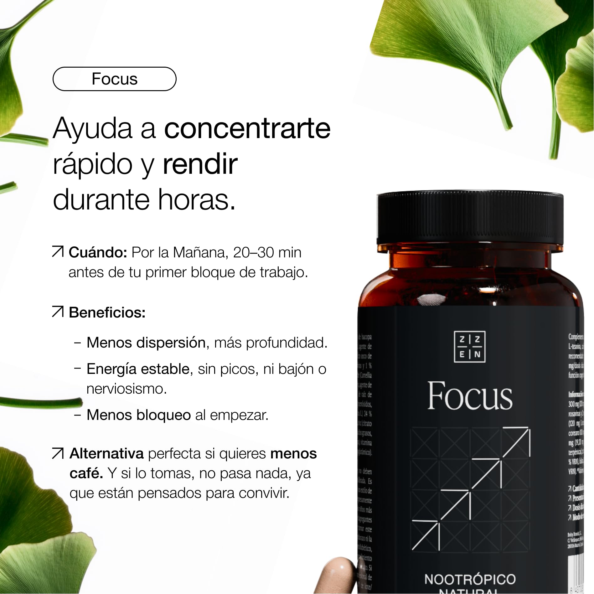 MODO ZZEN - Pack de 3 | Nootrópico para la Memoria, Energía y Concentración (FOCUS) + Ashwagandha KSM-66 para el Estrés (CALM) + Magnesio Bisglicinato y L-Triptófano para el Sueño Profundo (SLEEP)