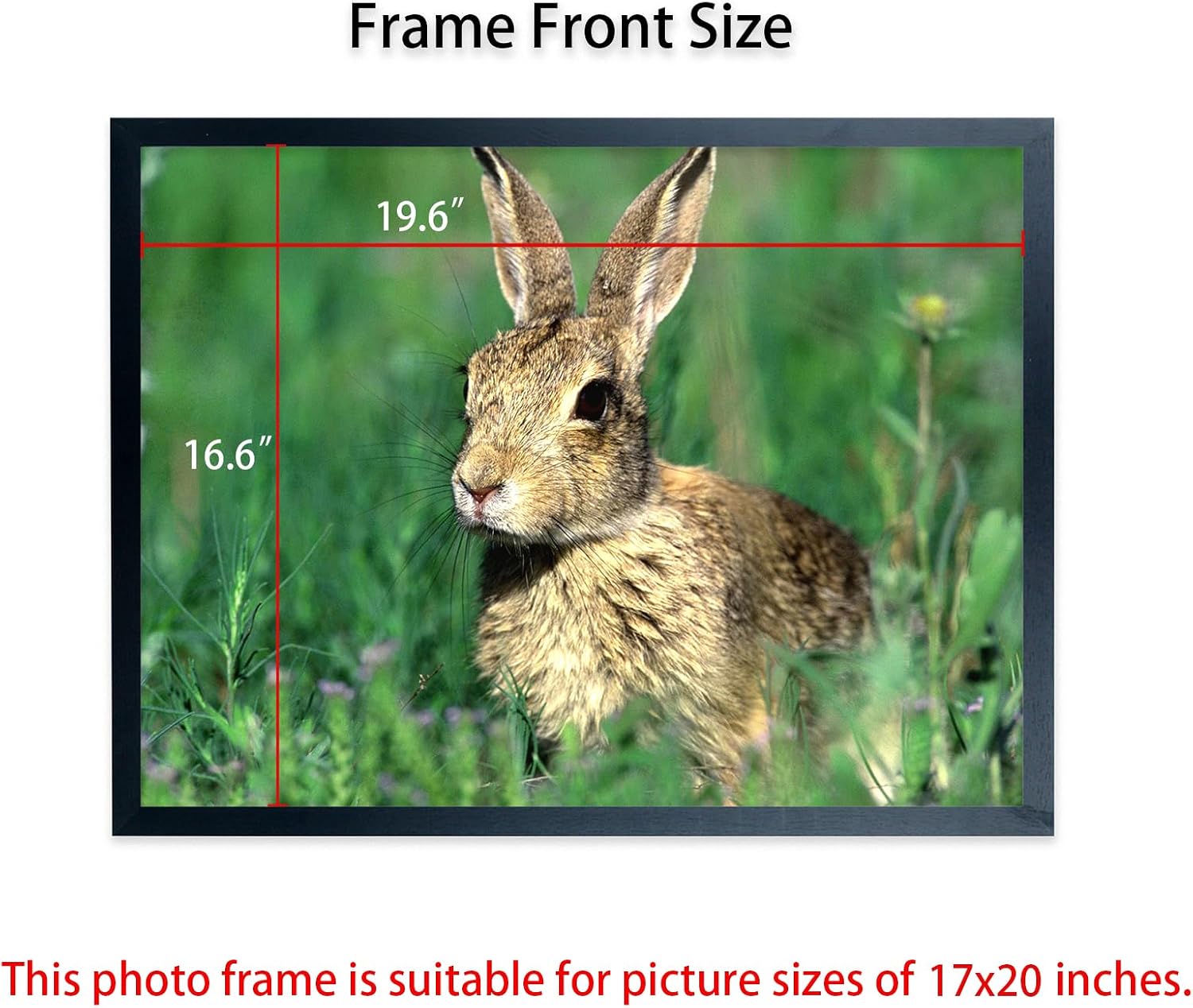 Poster Frames 17x20inch Solid Wood Picture Frame Black for 17x20 Poster and Photo Frames, including hanging hardware (F22B1720)