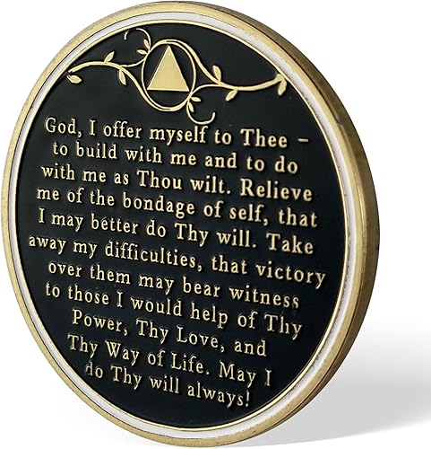 Miniatura 3 de Chip de sobriedad del árbol de la vida de 6 años, chips AA y medallones  Moneda de recuperación de sobriedad  Regalos de sobriedad para celebrar la