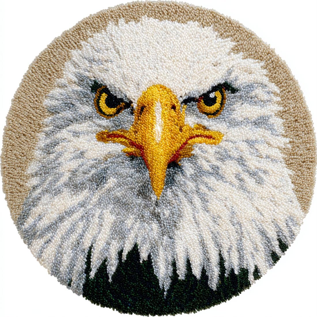 Rqwybcaxn DIY Rug Latch Hook Kits for Beginners Animal Cross Stitch Kit Eagle Portrait 60x60cm Round Washable Area Rug Bedroom Wall Hanging
