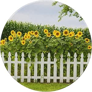 Staubschutz Für Küchengeräte - Sonnenblumen Motiv Mixer Abdeckung