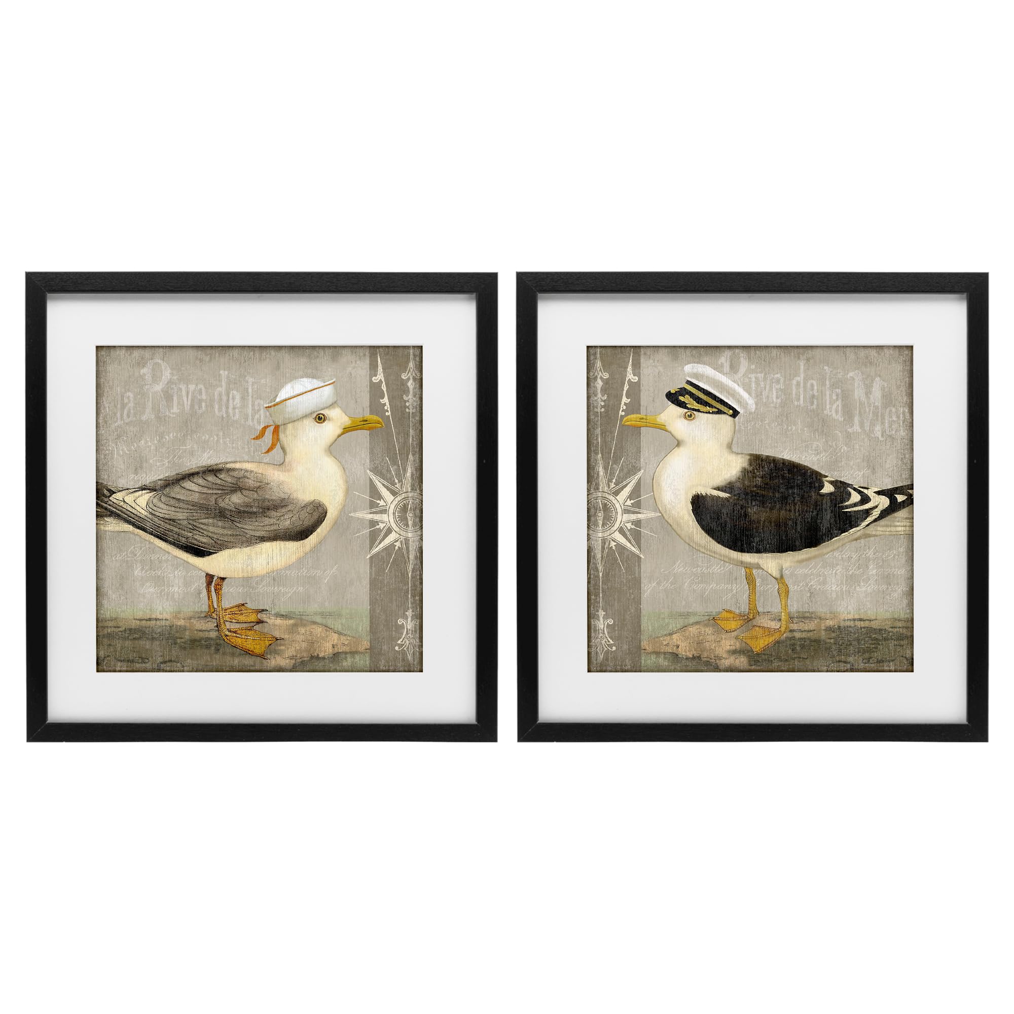 Stupell Industries 'Little Seagulls with Hats', 2pc Framed Print Under Glass Set, Black, 13 x 13 Inches, Easy to Hang and Sturdy, Made in USA, by Suzanne Nicoll