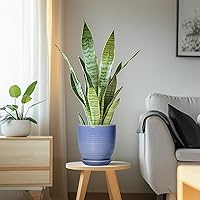 Vista 5 de Macetas de cerámica de 6 pulgadas para plantas, macetas de cerámica con orificio de drenaje y platillo, maceta para plantas de interior, maceta