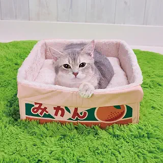 ペティオ (Petio) 猫用ベッド にゃん地直送 ぽかぽかBOX みかん