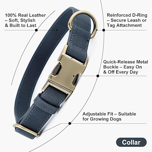 Miniatura 2 de Plutus Pet Collar de cuero genuino para perro, collar ajustable para mascotas con hebilla metálica de liberación rápida, piel real suave para perros
