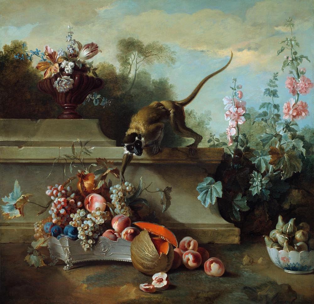 Amazon.com: Still Life with Monkey, Fruits, and Flowers (1724