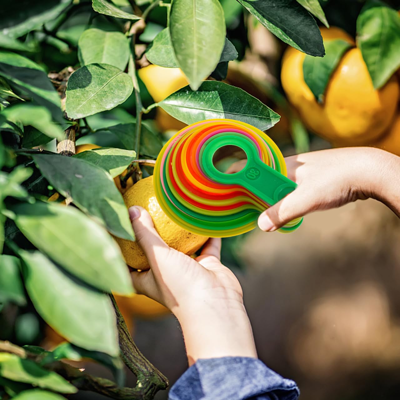 Misuratore Di Diametro Per Calibro Di Misurazione Anello Agrumi Plastica Arancione