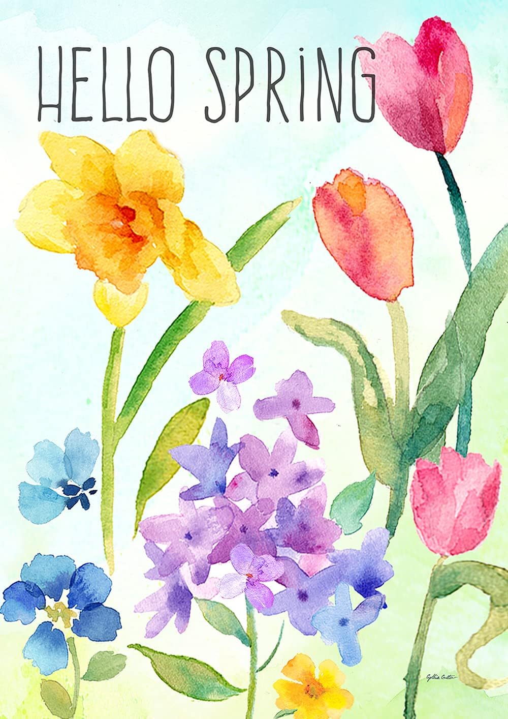 Amazon.com : Toland Home Garden 1012555 Spring Watercolors Spring Flag ...