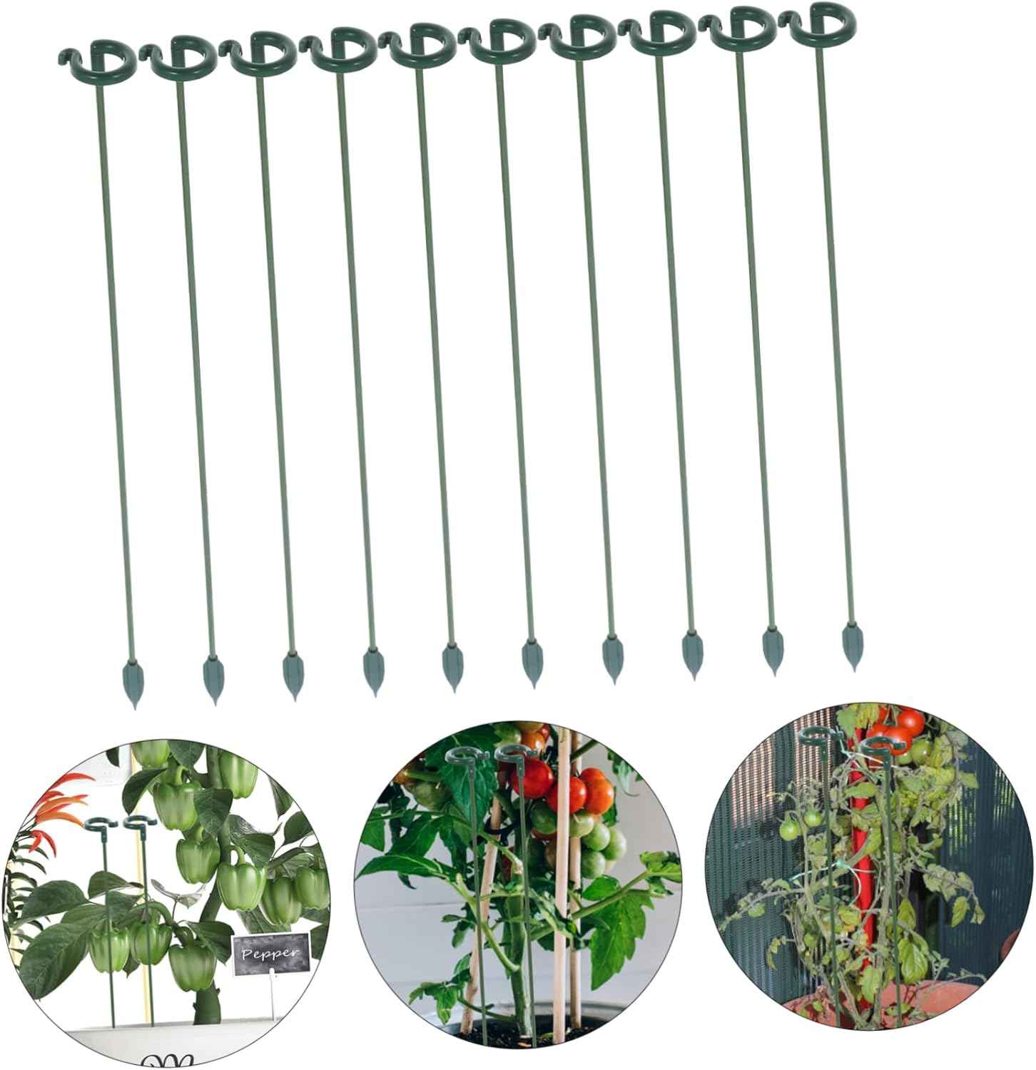 Toddmomy 4sets Indoor Plant Stake Holder Plant Support Stakes for Indoor Small Potted Support Garden 10pcs*4