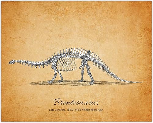 Miniatura 4 de Buzz Unplugged Juego de 4 fósiles de dinosaurios vintage, arte de pared de dinosaurio de 8 x 10 sumérgete en una aventura jurásica con esta