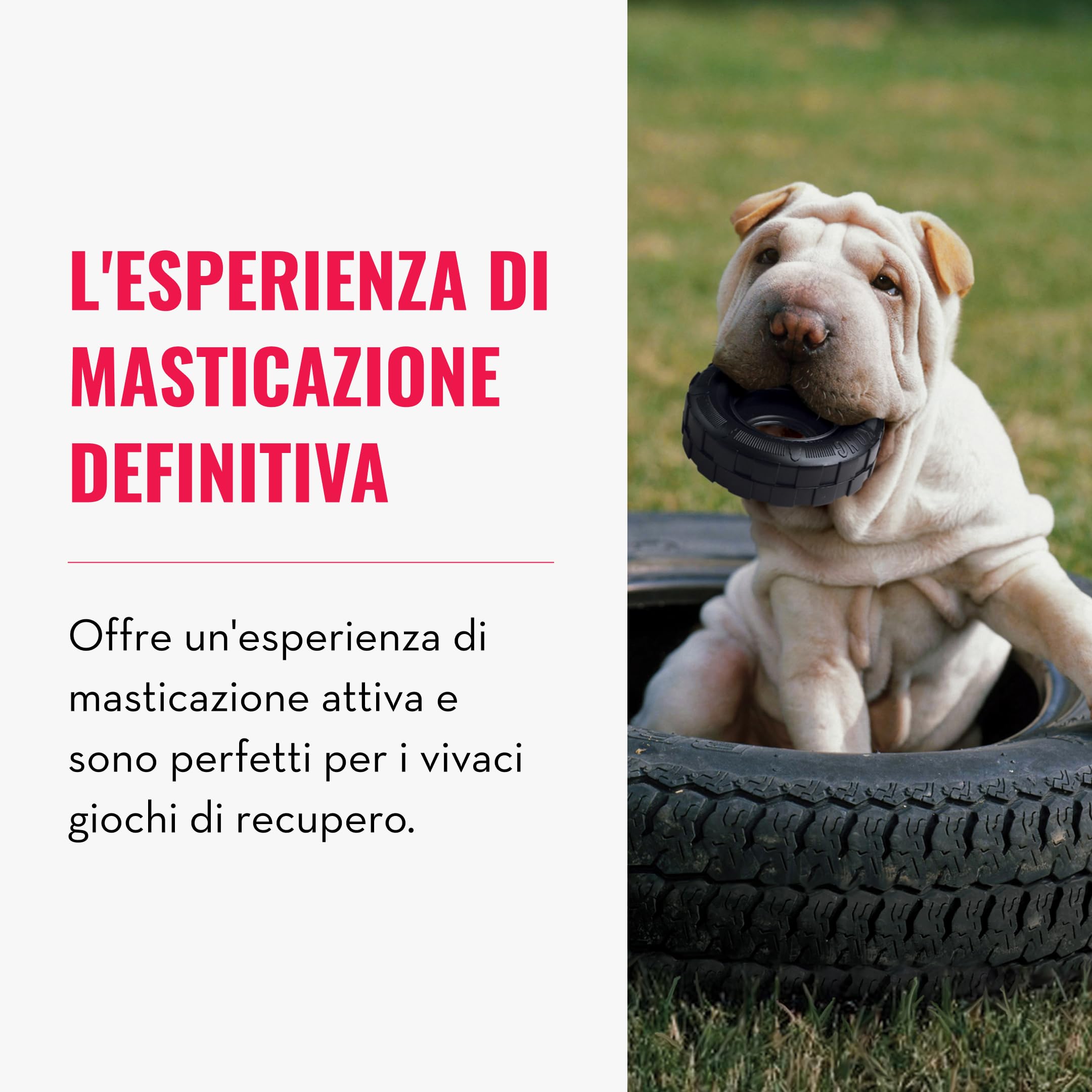KONG Extreme Tires - Giocattolo per Cani in Gomma Naturale Durevole - Dispenser di Biscotti per Cani - Per Cani Di Taglia Media/Grande