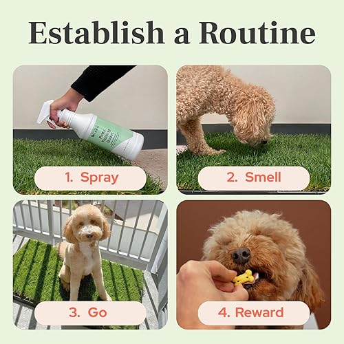 Miniatura 4 de DoggieLawn Spray de ayuda para el entrenamiento para ir al baño, aroma atractivo que ayuda a entrenar a los perros dónde ir al baño, formulado para