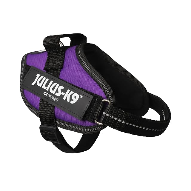 Foto 4 de 8 de Julius-K9 Arnés IDC Power, Tamaño: XS/Mini-Mini, Morado Oscuro