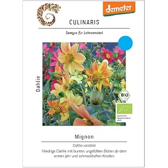 Dahlia 'Mignon' Flower Seeds