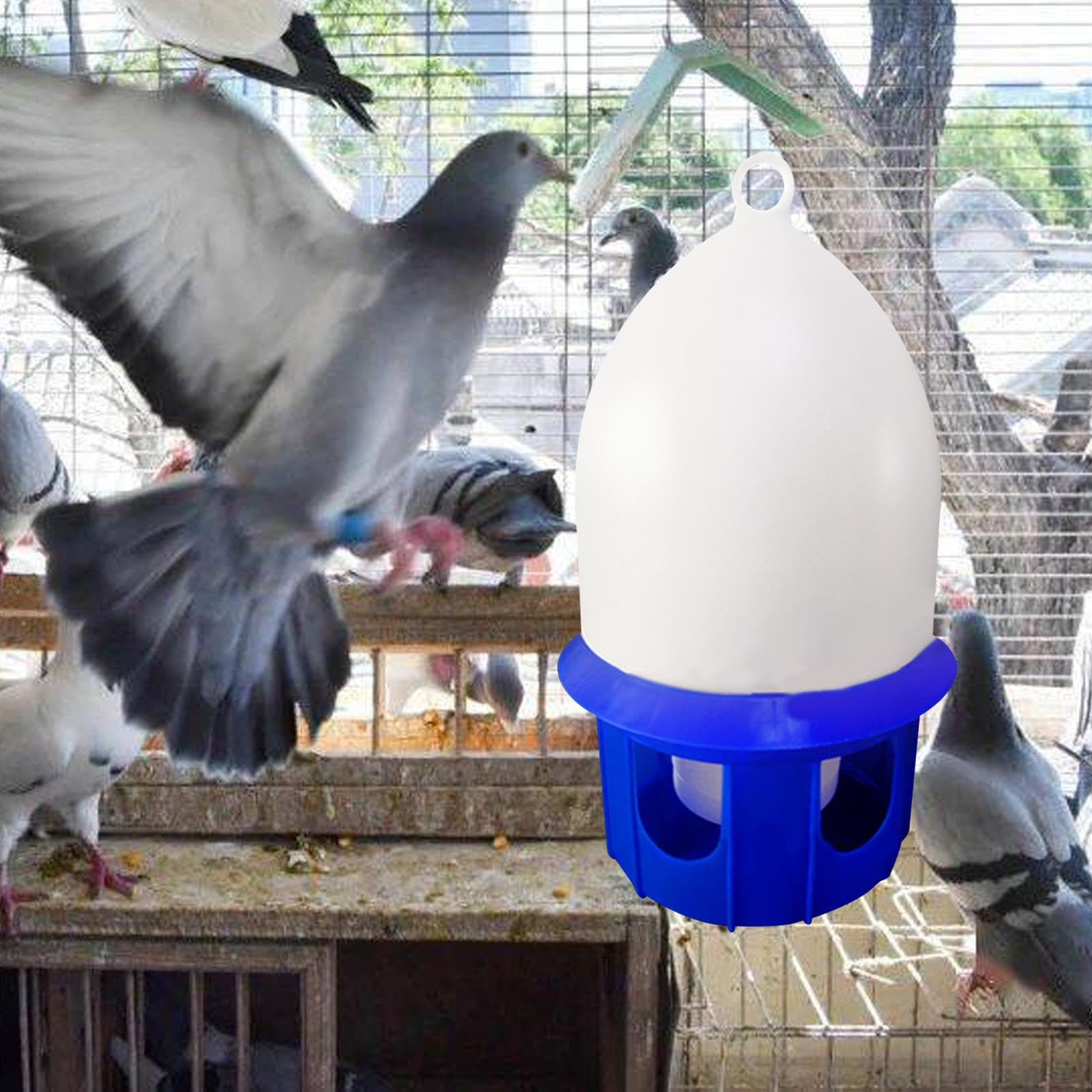 predolo Bebedero para Palomas, Bebedero de Agua para pájaros, Cubo para alimentación de Agua, Bote de Agua para Mascotas, Bebedero para Palomas de Granja de, 6L Azul