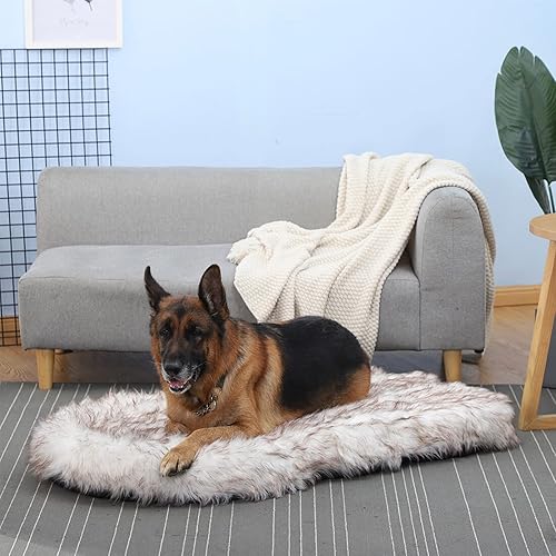 Miniatura 6 de Laifug Cama de lujo para perro de piel sintética, cama para perro de espuma viscoelástica ultra suave de 5 pulgadas de grosor, con funda de piel