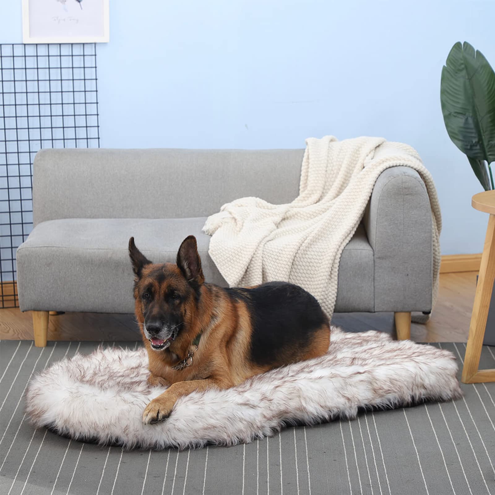 Letto Ortopedico Per Cani In Finta Pelliccia – Schiuma Ad Alta Densità, Fodera Impermeabile, Lavabile, Forma U, Fondo Antiscivolo, Taglia M 76x51x16 Cm