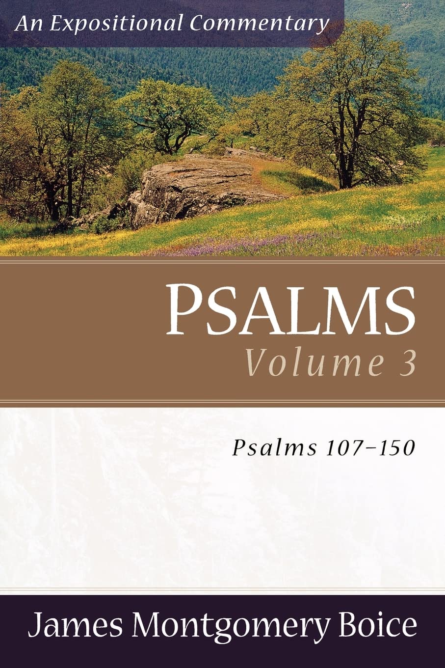 Psalms: Psalms 107-150 (Expositional Commentary)