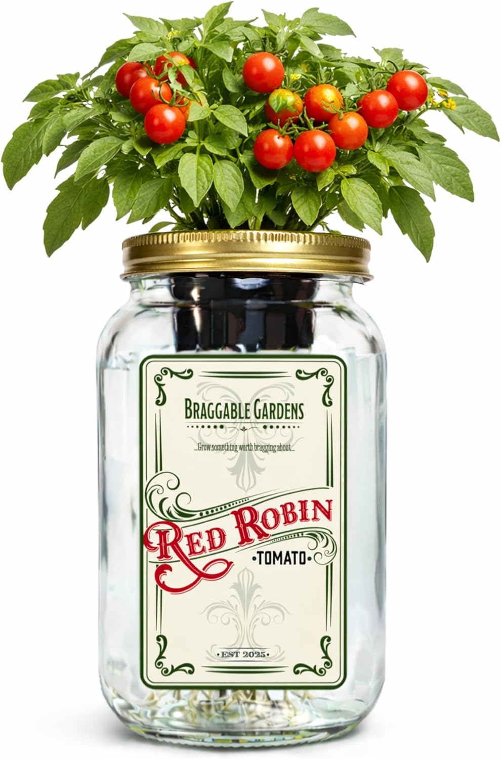 Braggable Gardens Red Robin Cherry Tomato Indoor Garden Kit – Mason Jar Hydroponic Tomato Grow Kit – Windowsill Countertop Tomato Planter – Grow Tomatoes Indoors