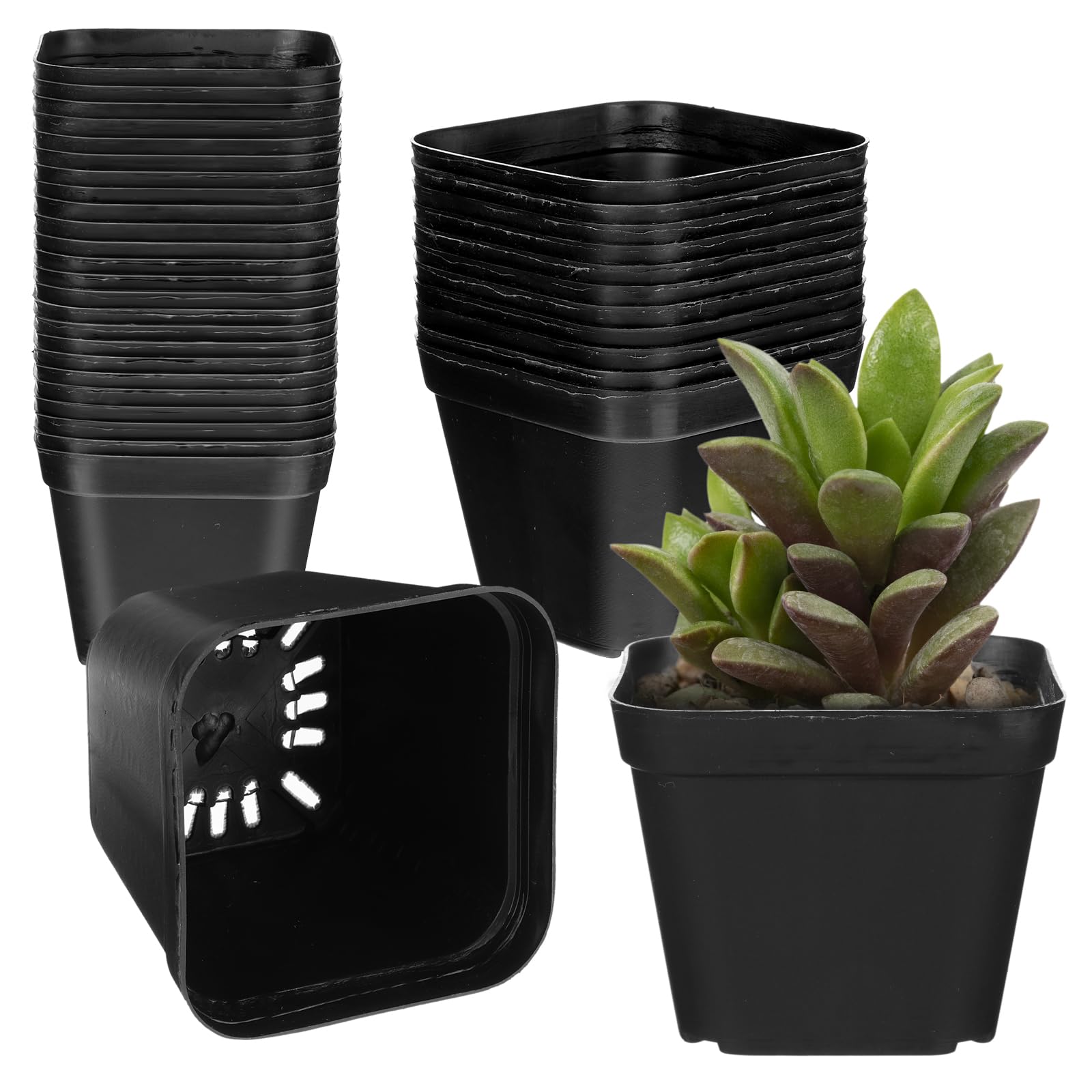 Ubamdom 36 Pcs Nursery Pots 4 Inch, Plastic Seed Starting Pot with Drainage Holes, Sturdy Seedling pots for Planting, Succulents, Transplanting,