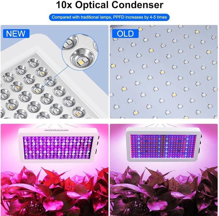 Amazon.com : 2024 Upgraded BW1000 LED Grow Lights Double