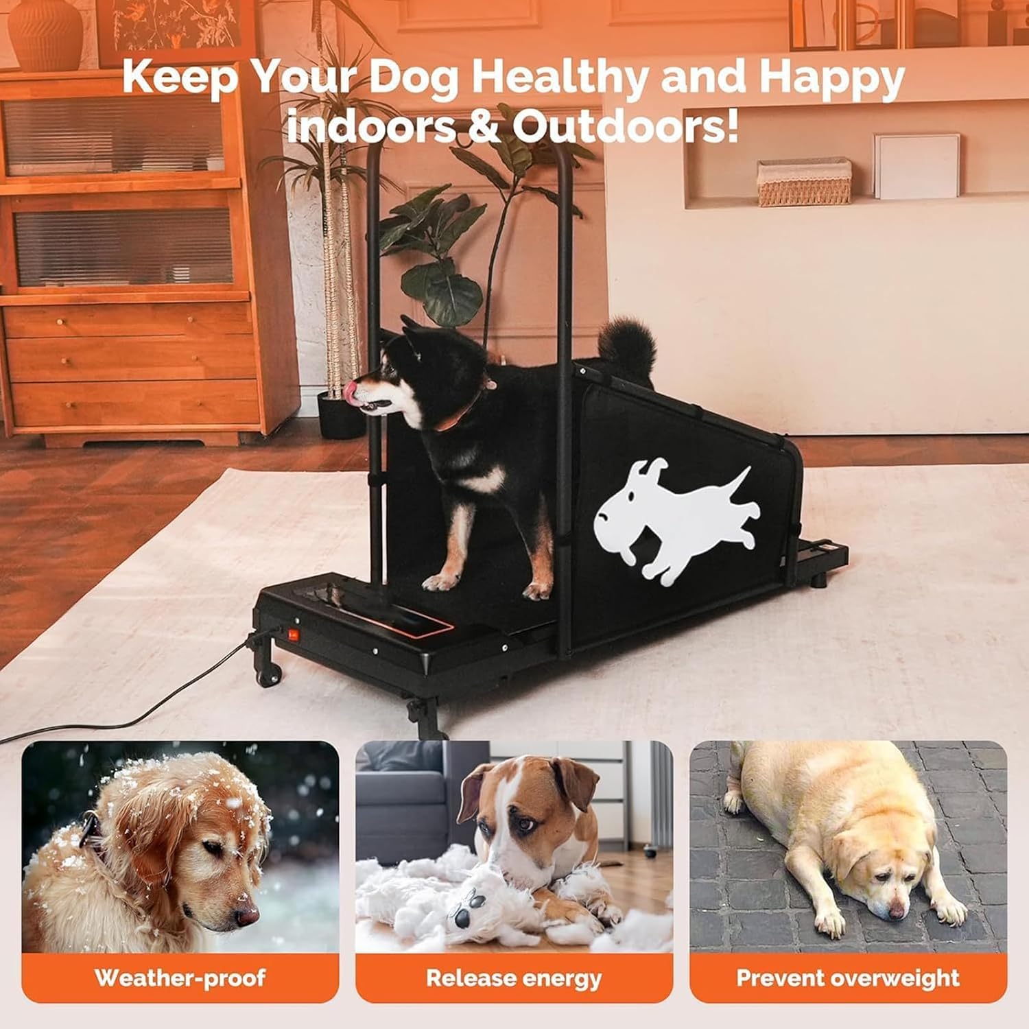 Dog Treadmill for Small to Medium Dogs, Adjustable Speed 1-10.0km/h Treadmill for Dogs, Pet Running Machine, with Remote Control, LCD Screen, for Indoor Exercise