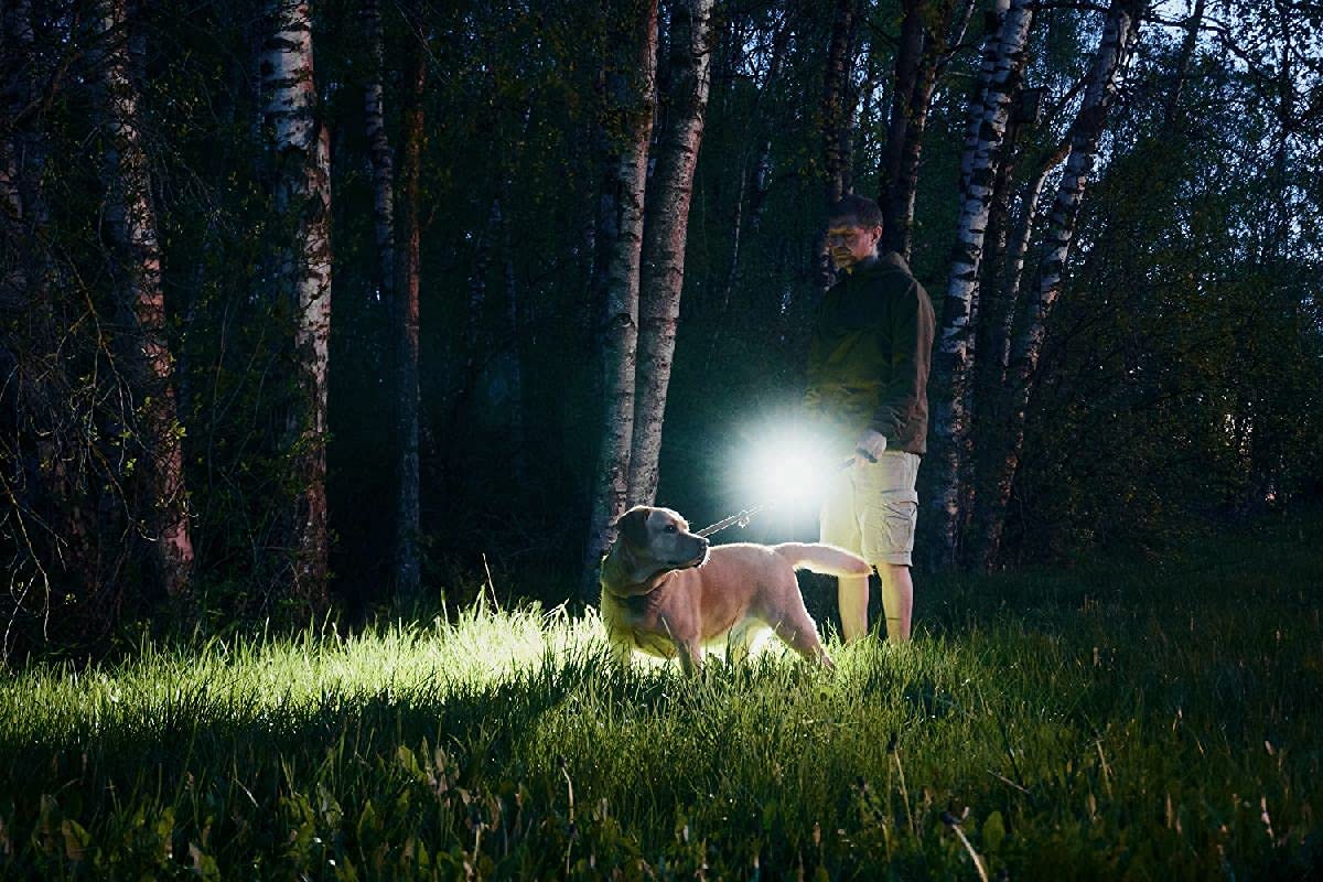 Armytek Lampada a LED Prime C2 Pro, luce bianca fredda, 2400 LED, magnetica, USB, ricaricabile, ogni giorno