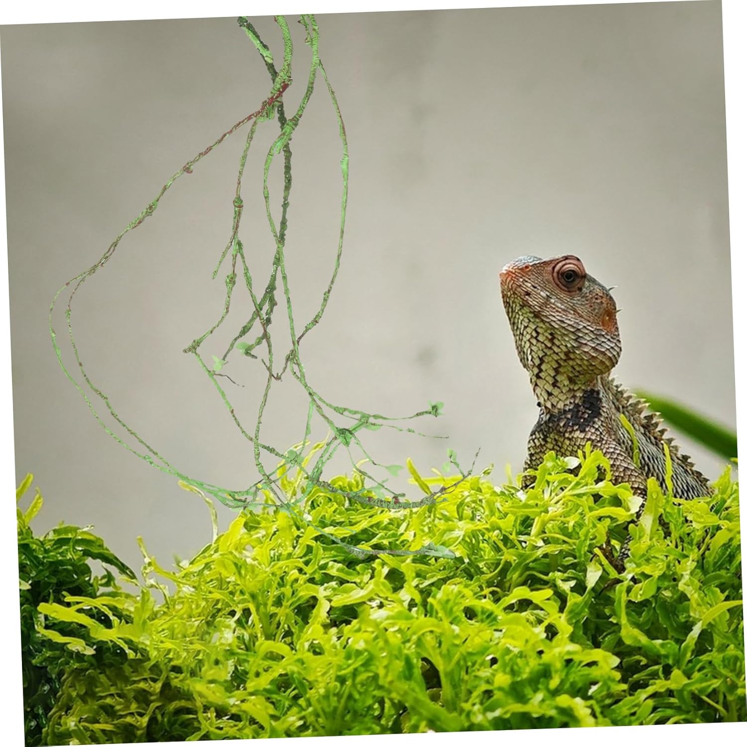 Reptile Tank Faux Jungle Vine Decor for Terrarium Flexible Climbing Ornament for Lizards and Chameleons Realistic Design Easy to Shape Fake Vine Plants