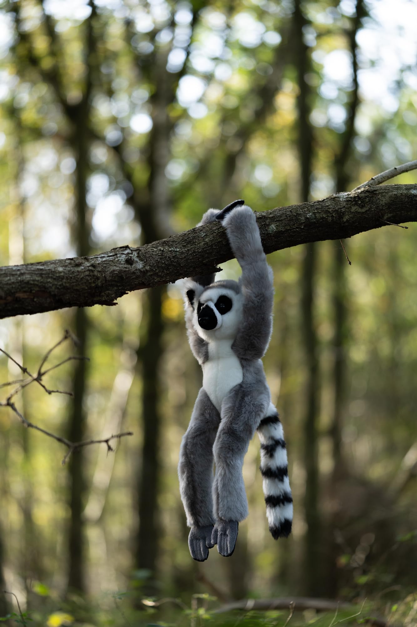 Animigos World of Nature - Anillo Colgante con Cola de Lemur