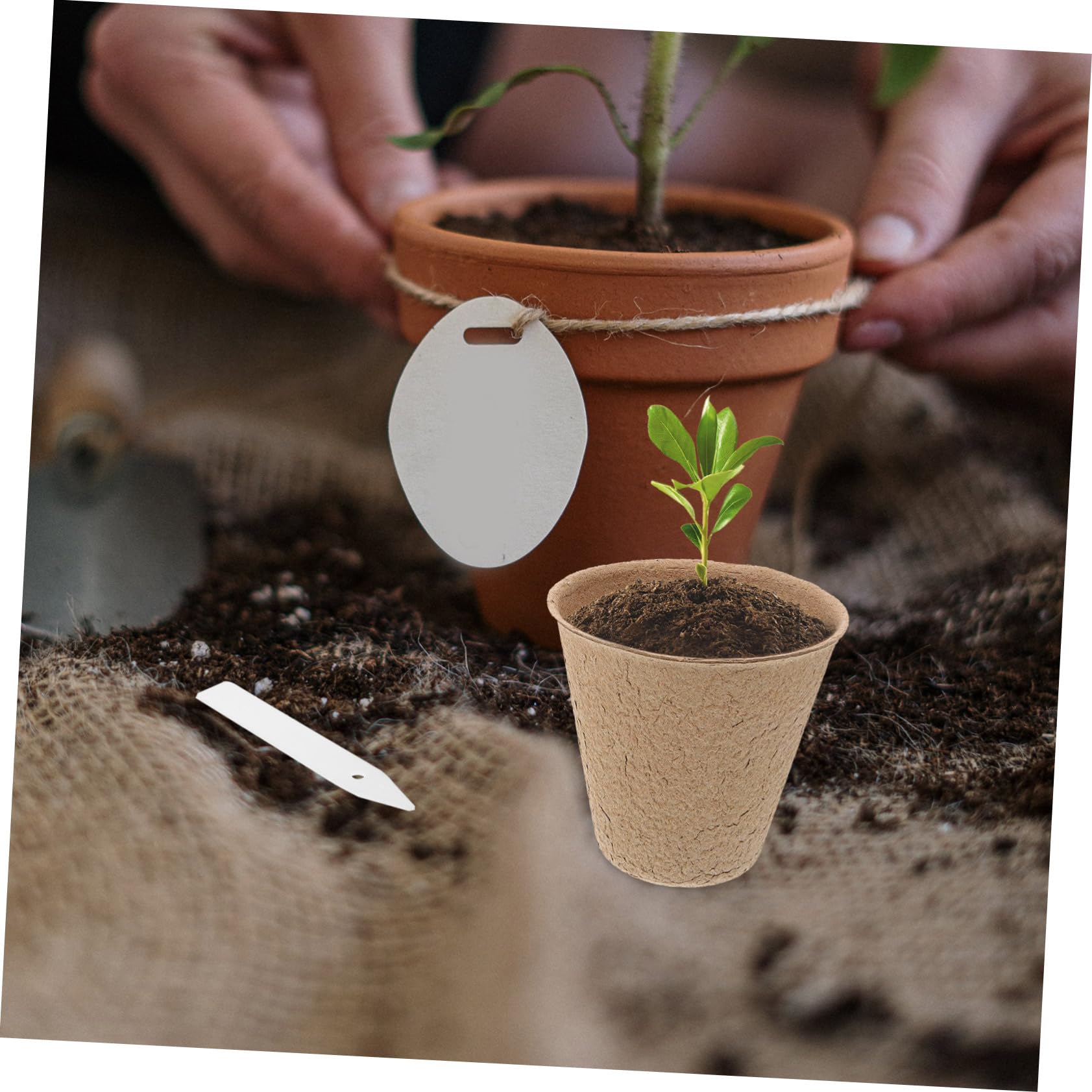 ifundom 110pièces Pots De Semis De Pépinière pour Transplantation Pots De Tourbe De Démarrage Recyclé avec Étiquettes pour Plantes