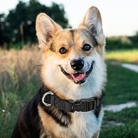 Vista 7 de PuppyDoggy Collar ajustable de nailon negro para perro, collar martingala para perros con hebilla de liberación rápida, collar clásico para mascotas