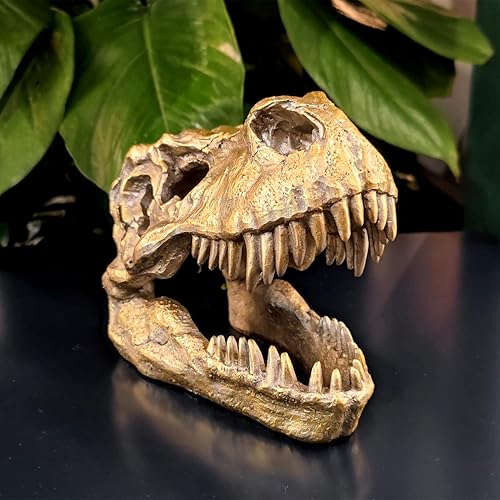 Miniatura 2 de Trofeo de cabeza de dinosaurio de calavera de T-rex, estatua de taxidermia sintética, tiranosaurio, cabeza de Rex, escultura de cráneo, figura