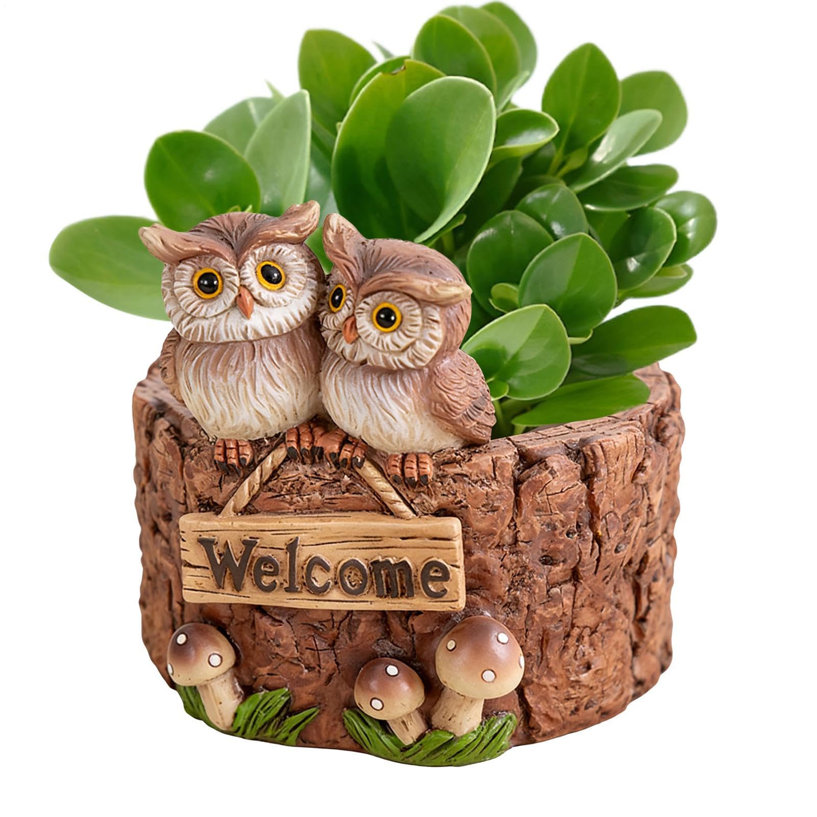 Petits pots de fleurs rustiques pour fleurir facilement bureau et salon