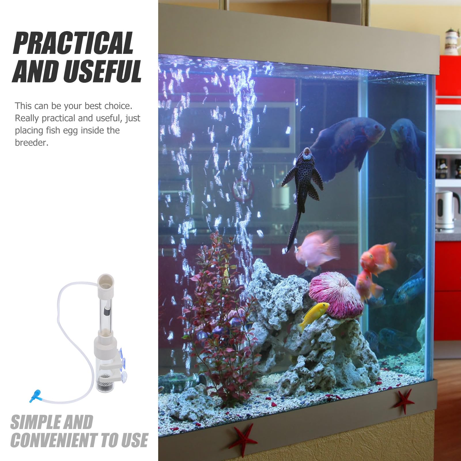 Fischzuchtröhre Acryl 40mm für Buntbarsche Maulbrüter Fischbrutapparat Aquarium Zuchtanlage Eieraufzucht Zufälliger Stil