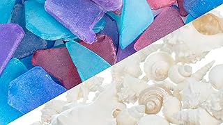Nautical Crush Trading 11oz Blue Red & Purple Tumbled Sea Glass & 1lb White Mixed Seashells Set - Sea Shells Bulk - Seashe...