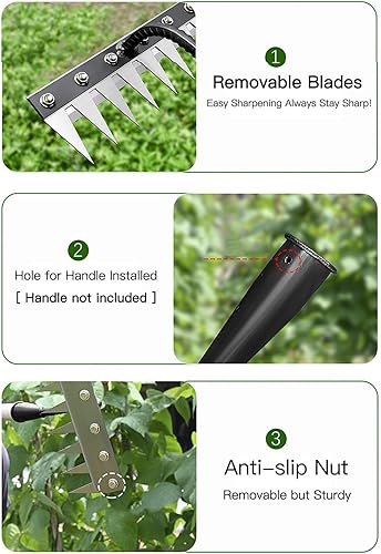 Miniatura 3 de Gardenia Rastrillo de hierro 2.0, rastrillo de hierro para jardinería y malezas, herramienta de extracción de malezas manual de jardín resistente