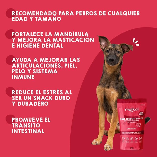Foto 4 de 6 de Chuches Perros Gatos Snacks Premios Naturales Tendon Ternera Apta Cachorros