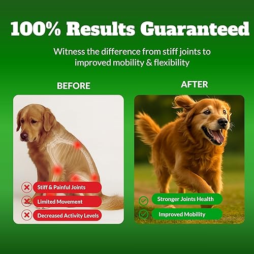 Miniatura 4 de Suplemento masticable para cadera y articulaciones para perros con glucosamina y condroitina, soporte articular para perros mayores y de razas