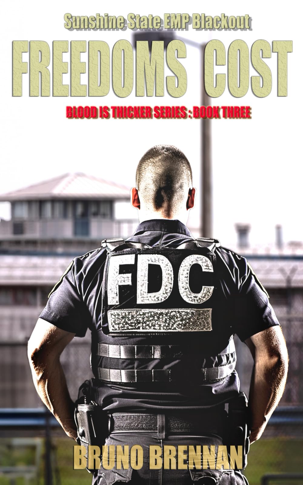 Freedoms Cost: Sunshine State EMP Blackout (Blood is Thicker Series)