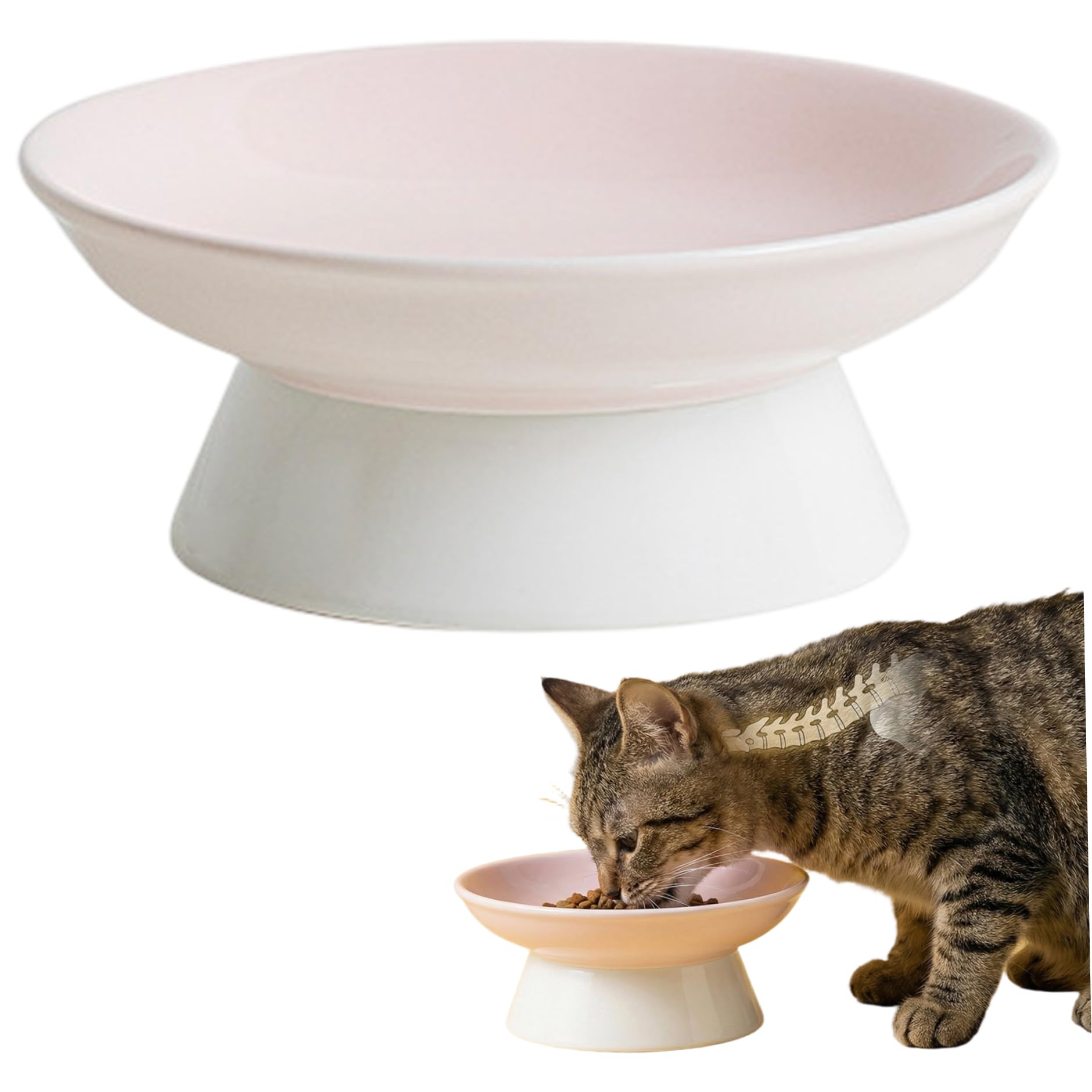 Gamelle surélevée pour chat en céramique : le lot de 2 écologiques