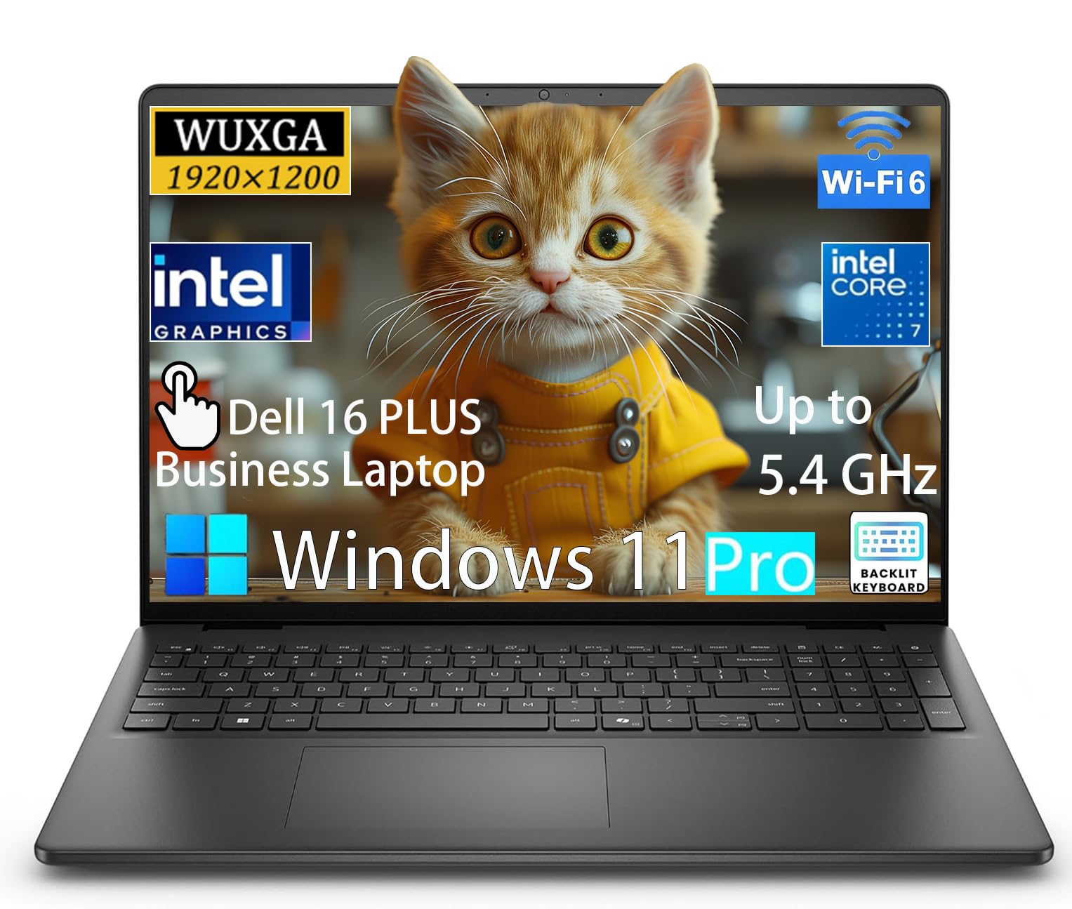 Amazon.com: Dell 16 Plus Touch Premium Business Laptop, 16