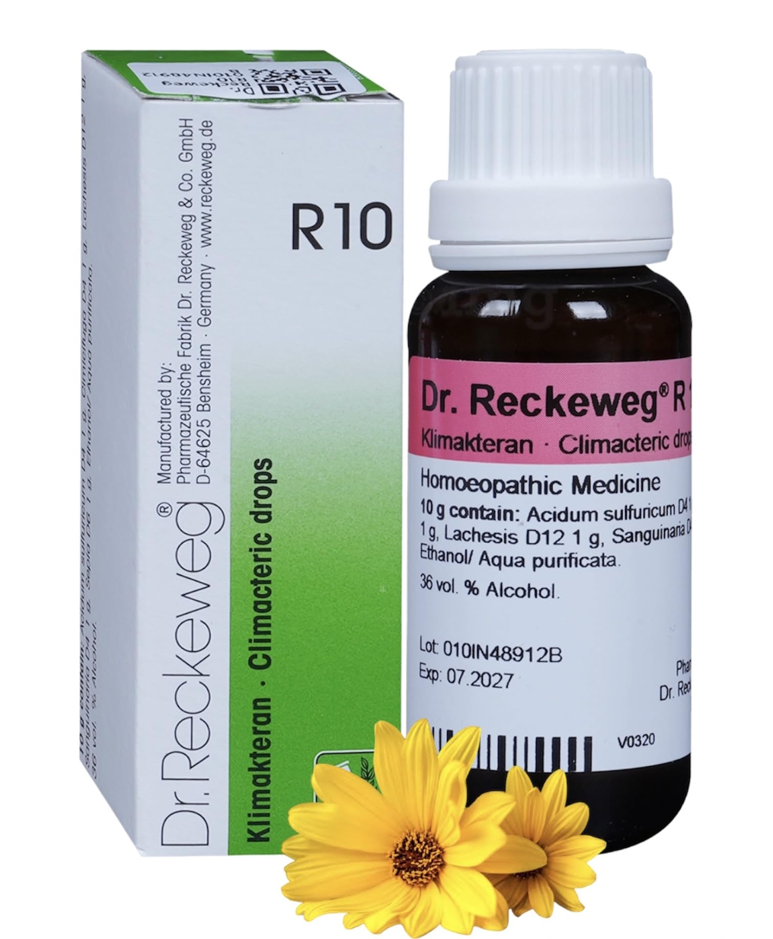 Dr Reckeweg R10 Klimakteran 22ml - Set of 1 Bottle (B0CH98Z1CN) Amazon Price History, Amazon Price Tracker