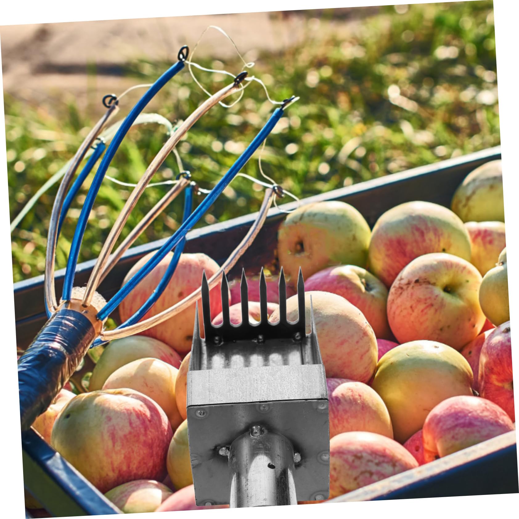 BESPORTBLE 2 Pezzi Strumento Raccoglitrice Di Frutta Orange Picker Raccolta Di Frutta Gabbia Dispositivo Di Raccolta Di Frutta Forniture Agricole Giardinaggio Raccolta Artigli Fattoria