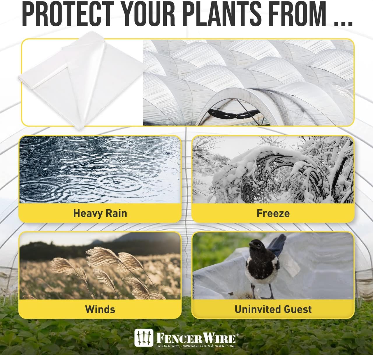 Fencer Wire 6 mil Clear Greenhouse Plastic Sheeting UV Resistant Polyethylene Greenhouse Film, Hoop House Cover for Horticulture, Gardening, Farming and Agriculture 90% Light Transmittance, 32’ x 50’