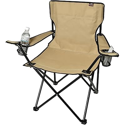 パークレーン株式会社 アームチェア ベージュ