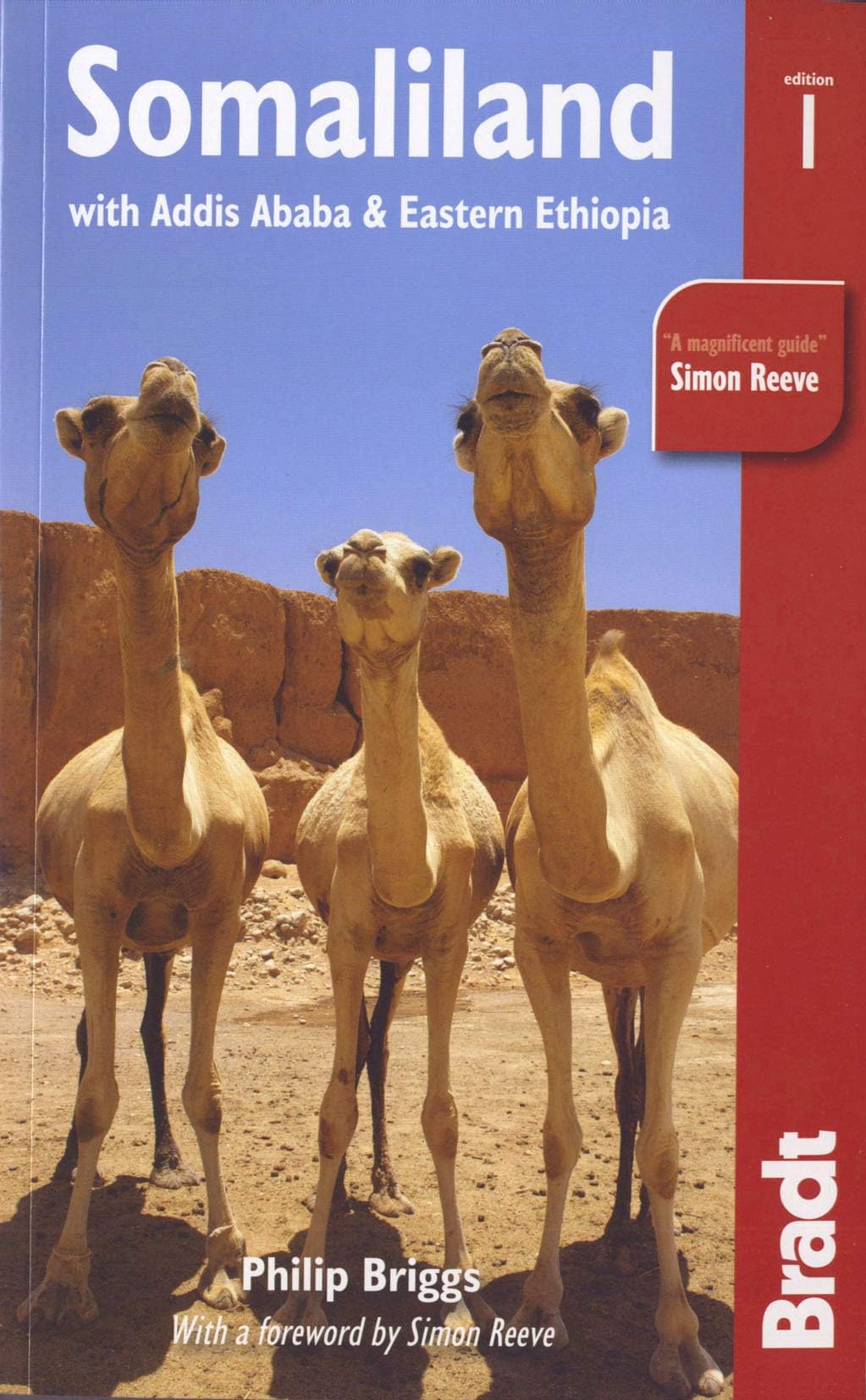 Somaliland: With Addis Ababa & Eastern Ethiopia (Bradt Travel Guide) Paperback – June 5, 2012
