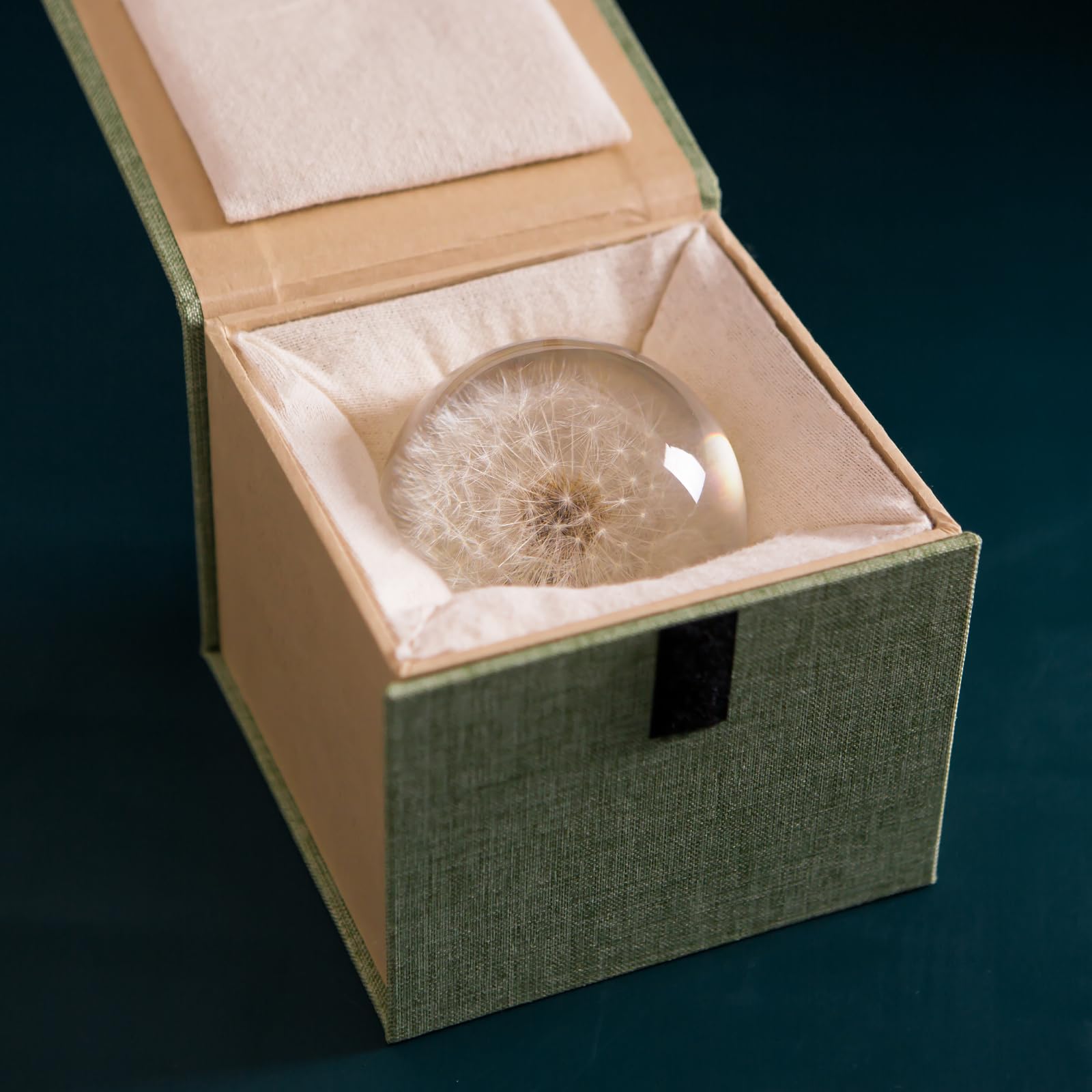 Briefbeschwerer Pusteblume Traumball Kristall Wunschball Einzigartiger Briefbeschwerer aus Pusteblume Geschenk für Frauen Männer (Mama, Papa, Lehrer), Geburtstag, Hochzeit, Valentinstag, Mutter (9 cm)