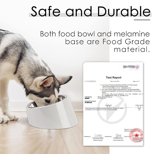 Miniatura 7 de Super Design - Tazón inclinado en 15 para perros y gatos, ángulo inclinado para bulldog y mascotas, antideslizante y antiderrames, más fácil de